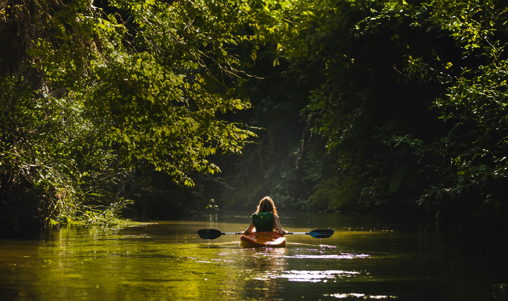 Person kayaking on a calm river surrounded by nature Person kayaking on a calm river surrounded by nature