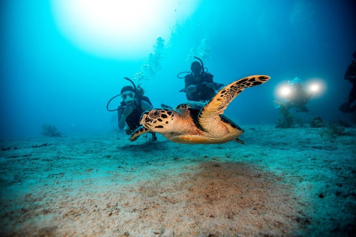 110318214_2760072404317355_4362805033484353751_n-min Paisajes impresionantes de montaña y mar, donde tienen lugar las experiencias de Coral Diving Center Crete.