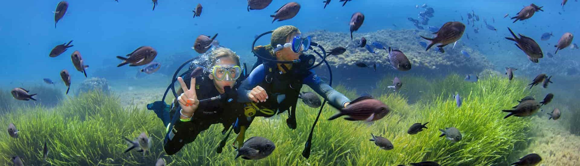 Deux plongeurs sous l'eau entourés de poissons avec Vellmari Formentera.