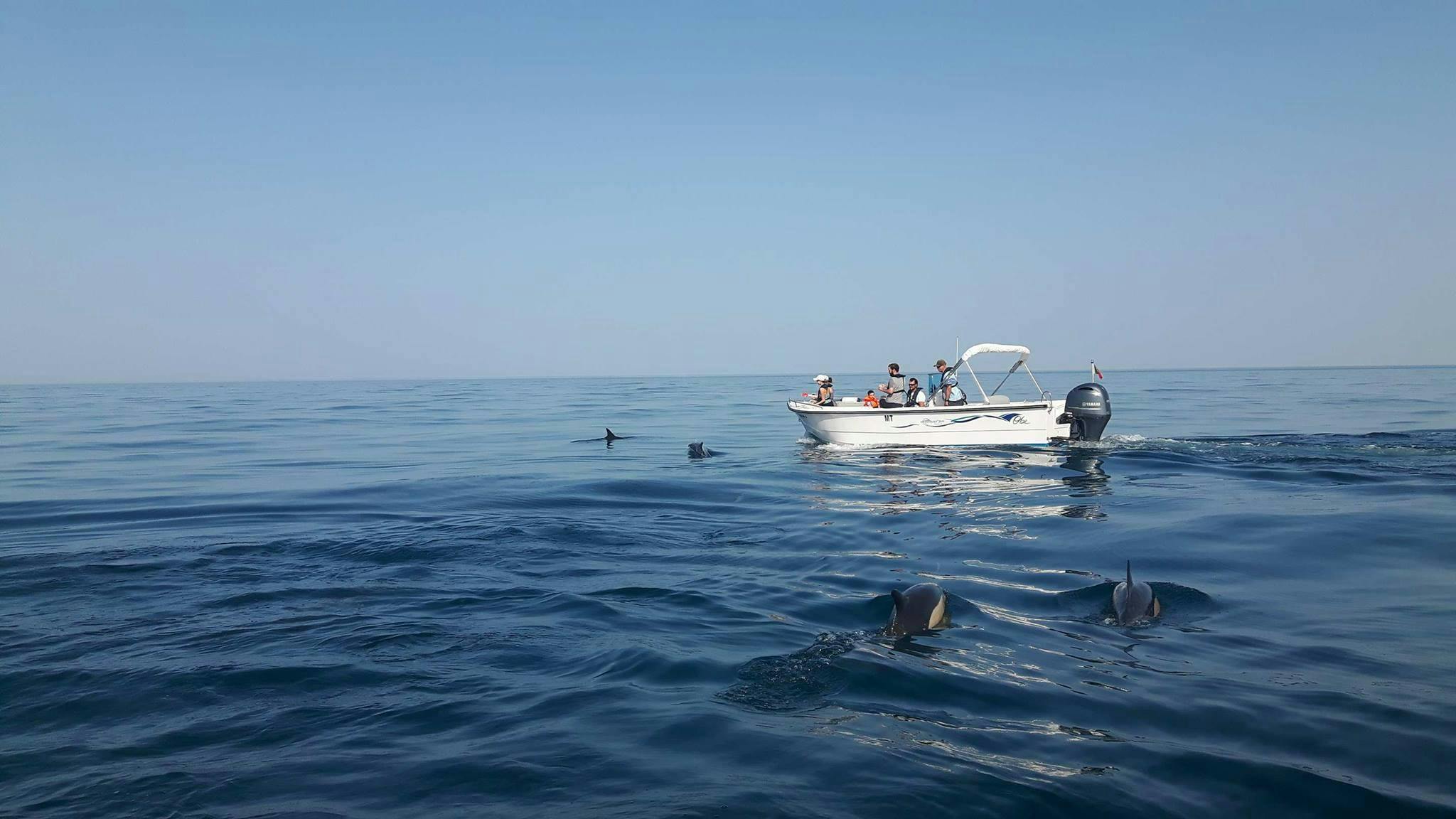 Beautiful landscapes showcasing mountains and sea, where the experiences of Ecomarine Algarve are taking place.