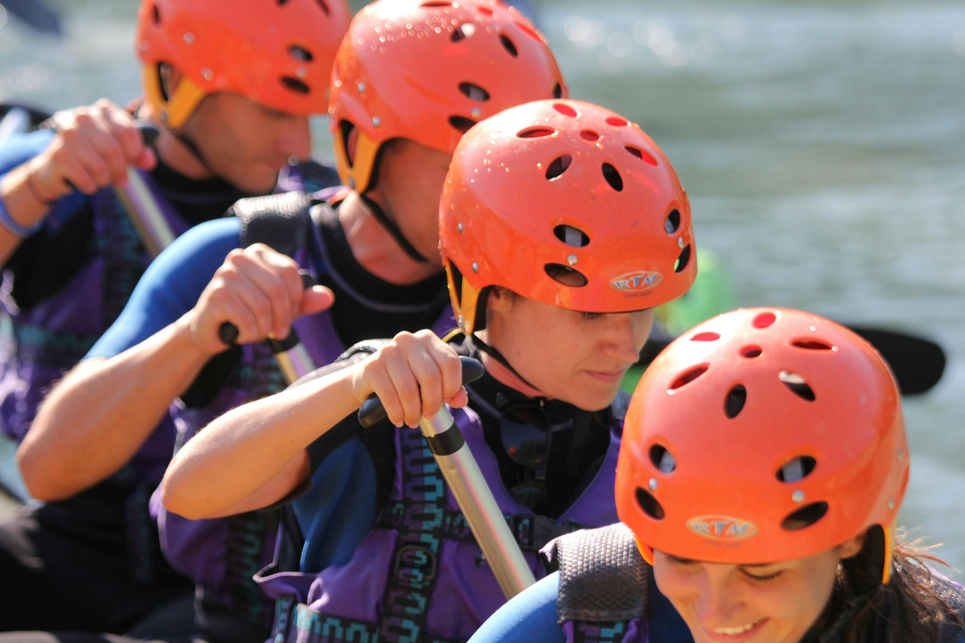 20366369433_17458889e1_o null-null-hero