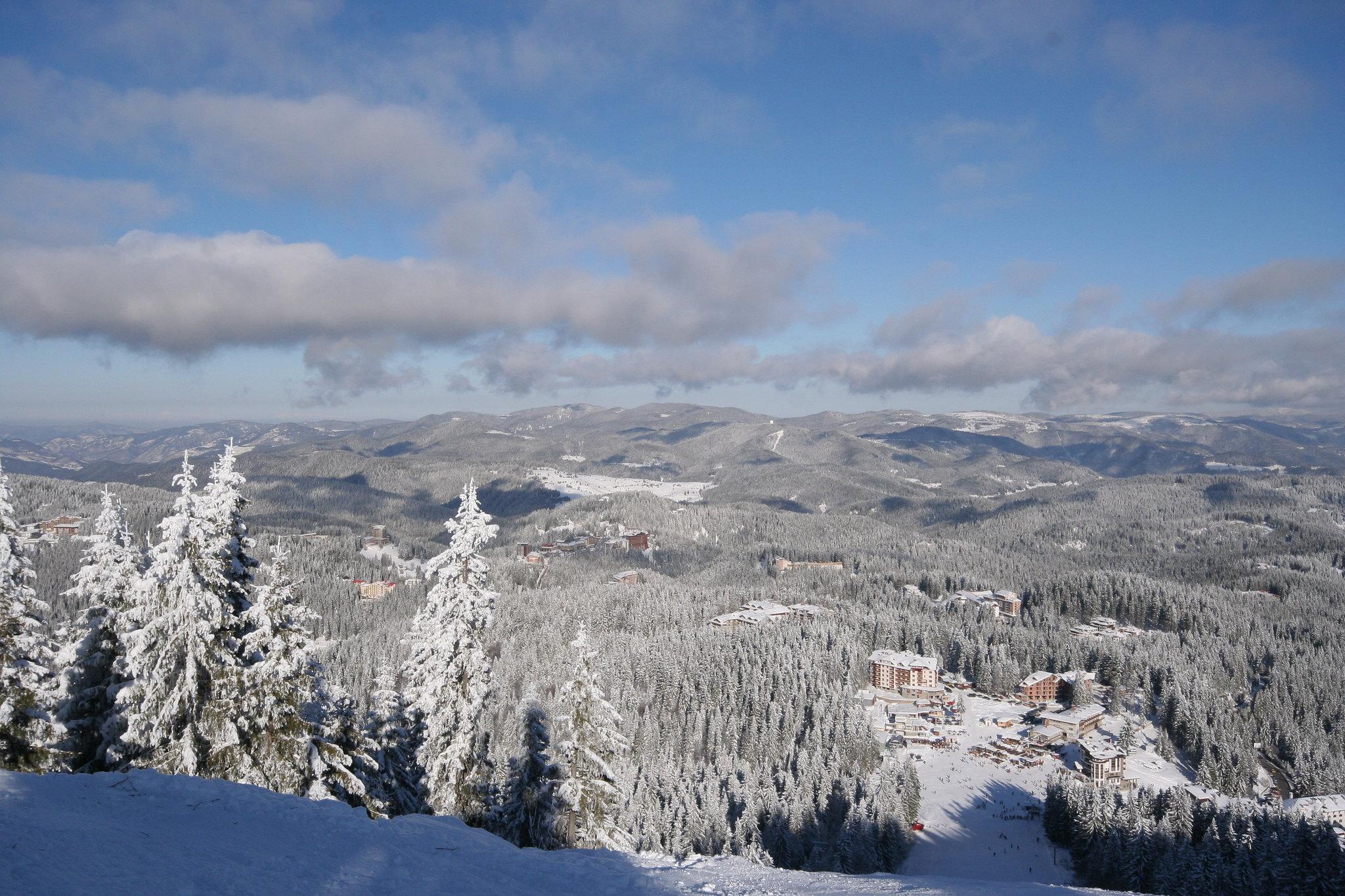 snowy landscape of Pamporovo