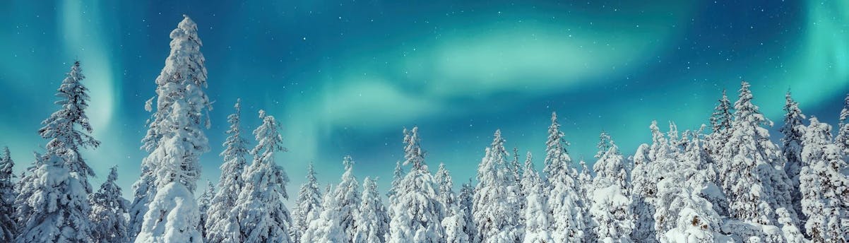 Sightseeing & Bus Tours Arctic Circle SEM Hero Tour panoramico al Circolo Artico.