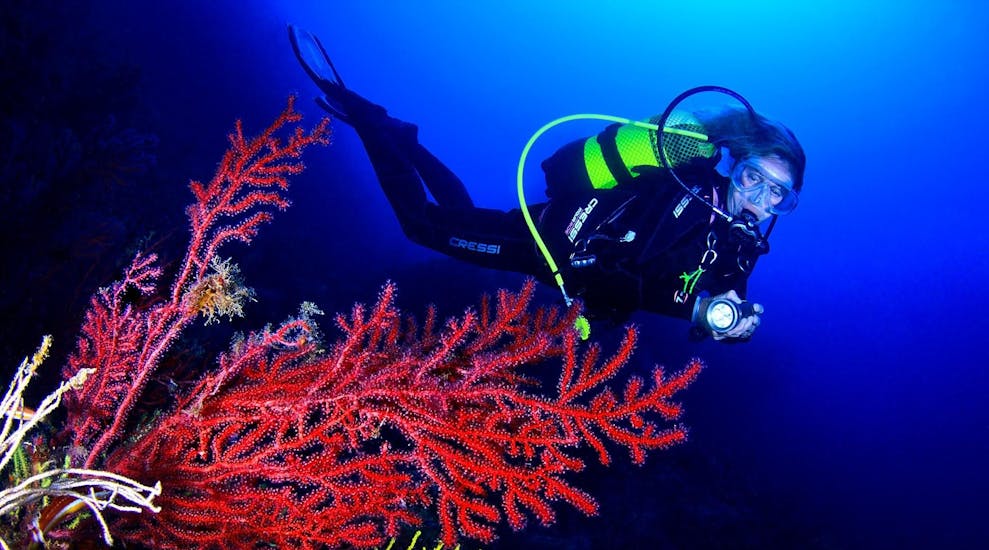 Beautiful coral reef in the Medes Islands and a woman doing Scuba diving with Unisub L'Estartit.
