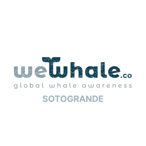 WeWhale Sotogrande