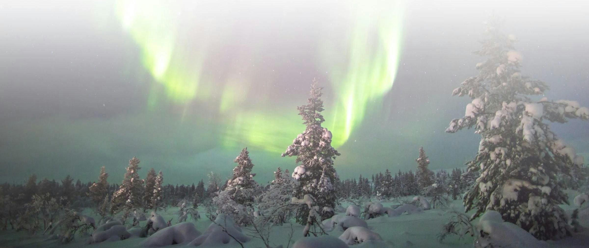 37d20993-5e99-4114-aa5f-0e9d4d0c36fc Beautiful landscapes showcasing mountains and sea, where the experiences of Nordic Unique Travels Rovaniemi are taking place.