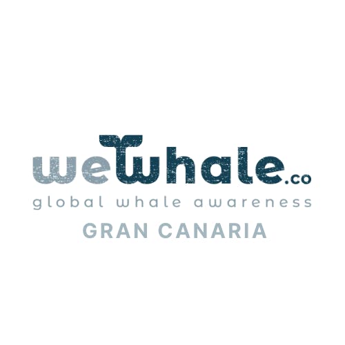 WeWhale Gran Canaria