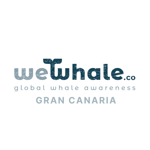 WeWhale Gran Canaria