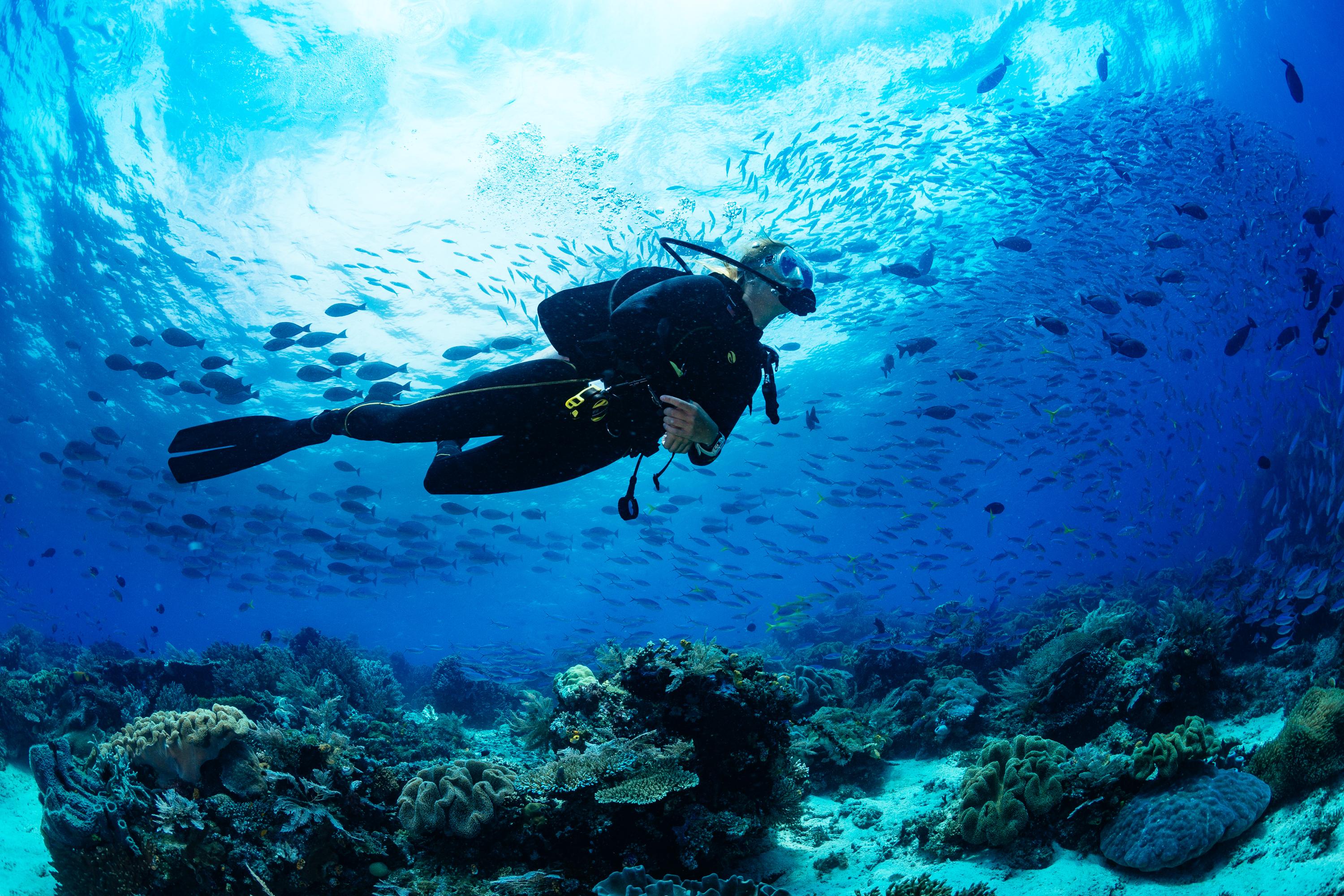 Diving vertical tile (c) Shutterstock - 1 - 1