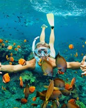 Snorkeling between colourful fish.