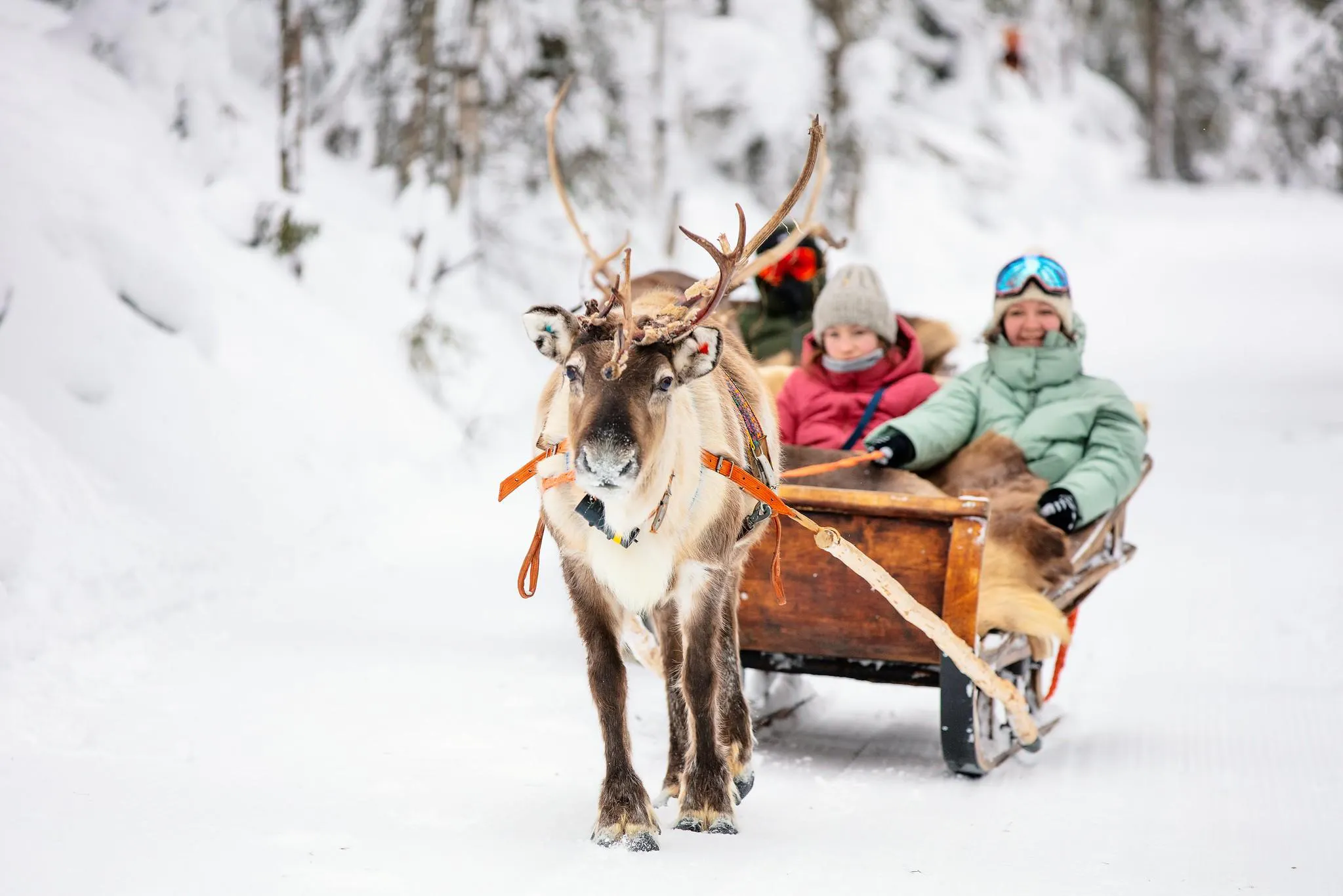 One of the activities that are offered in the Norwegian landscapes.