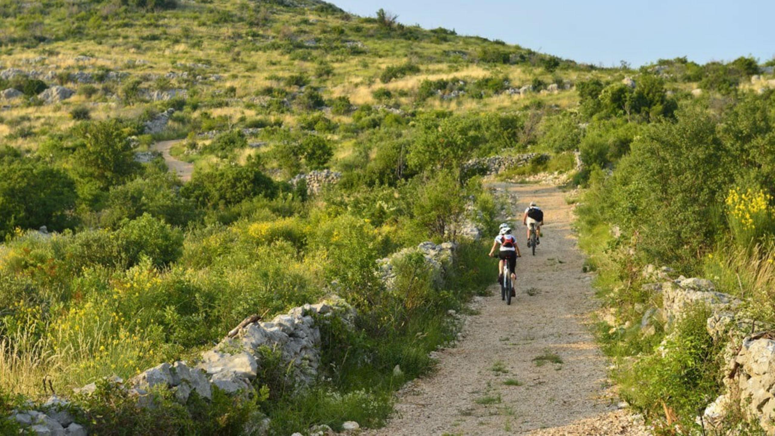 mountain biking in national parks