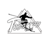 Logo Tebarray Boutique Sport Ski Formigal