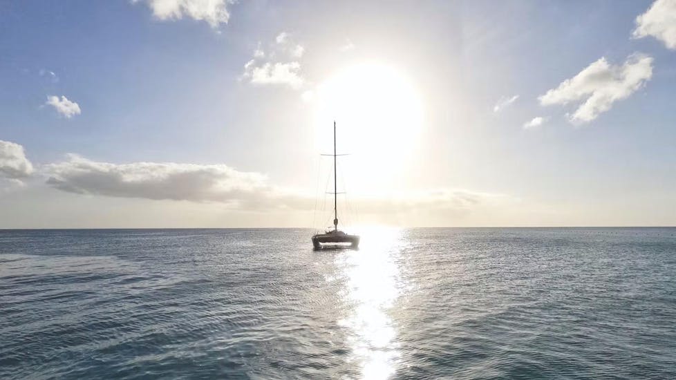 Un elegante catamarán ecológico navegando por el Mar de Alborán en un día soleado durante un viaje en velero desde Málaga con Mundo Marino Costa del Sol.
