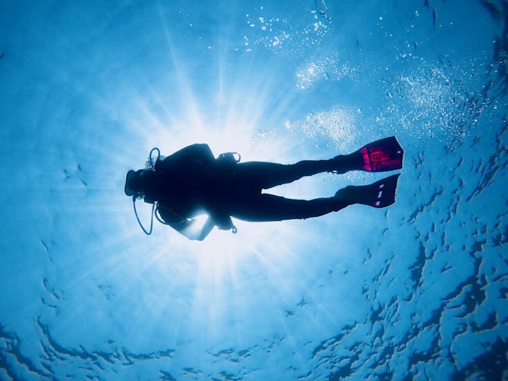 A diver diving close to the surface.