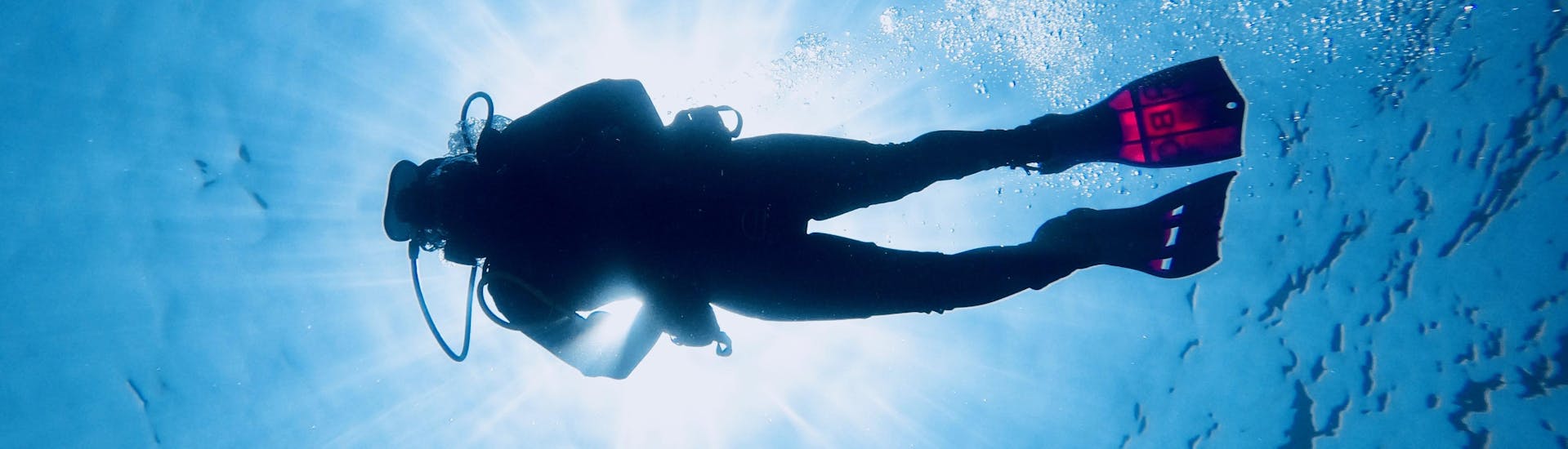 A diver diving close to the surface.
