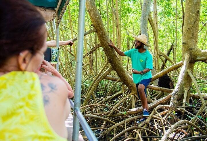 Mangrov'Eco (Le Mantou) Beeindruckende Landschaften mit Bergen und Meer, wo Aktivitäten von Mangrov'Eco Le Mantou Martinique stattfinden.