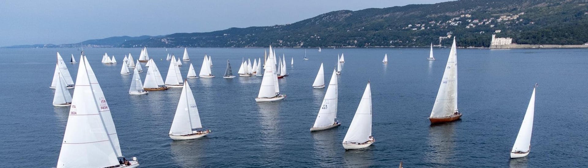 View of sailboats cruising through the Trieste Gulf from Roberta III Monfalcone.