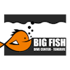 Logo Big Fish Tenerife