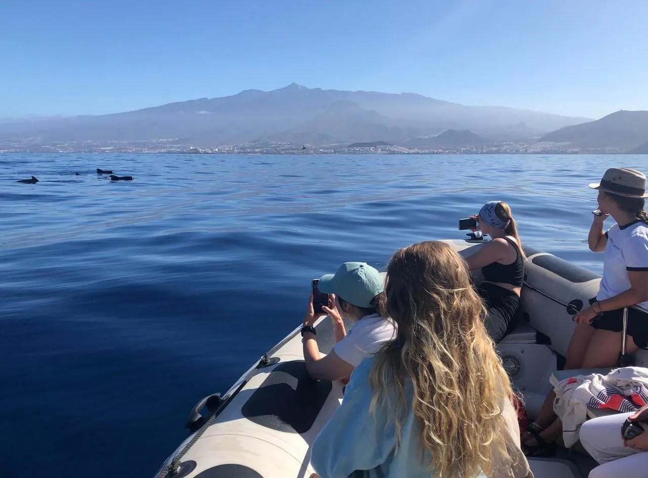 Biosean Tenerife Beautiful landscapes showcasing mountains and sea, where the experiences of Biosean Tenerife are taking place.