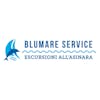 Logo Blu Mare Service Stintino