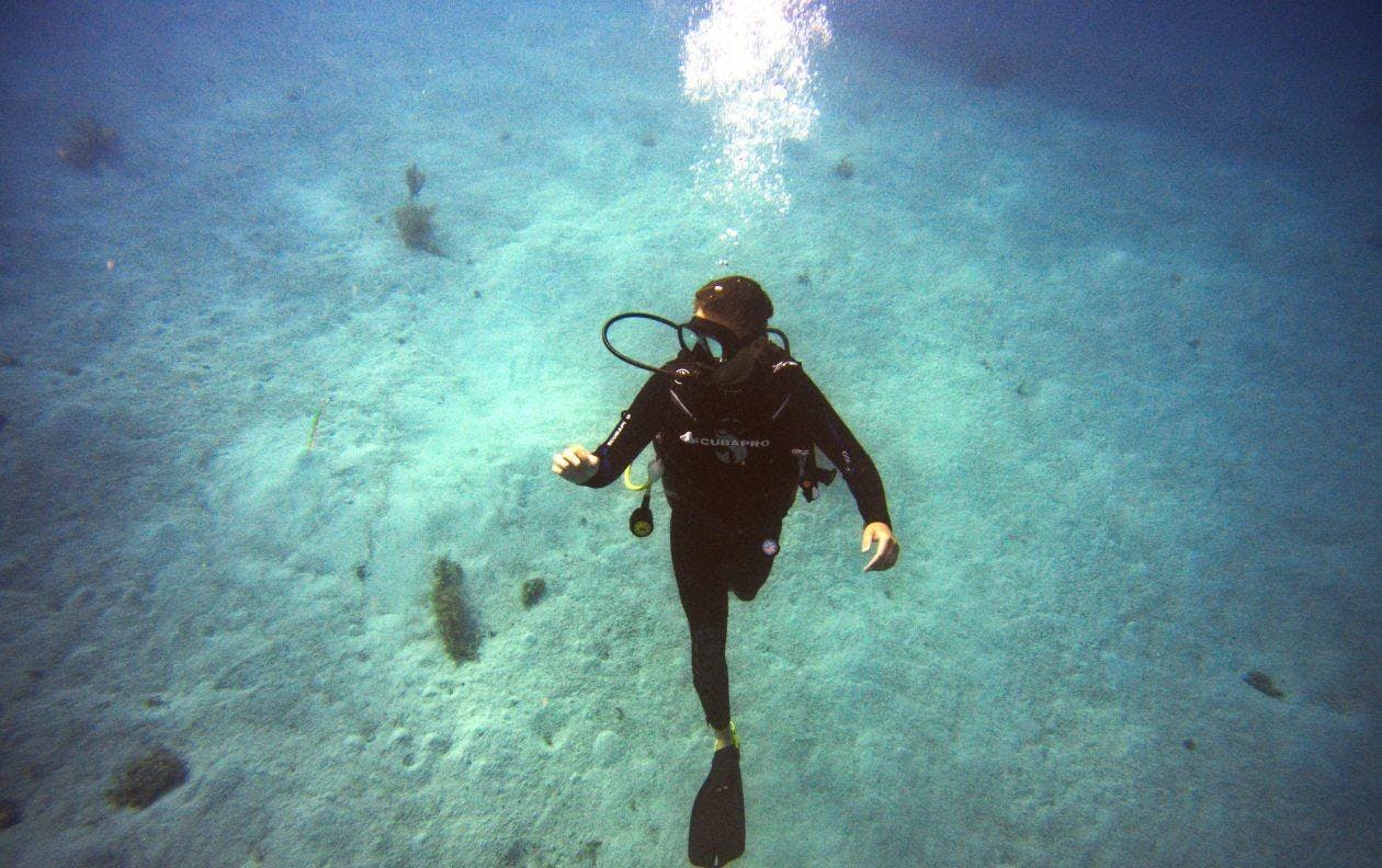 Blue Bay Diving Mauritius Ein Mann taucht mit Blue Bay Diving Mauritius.