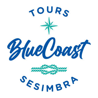 Blue Coast Tours Sesimbra Blue Coast Tours Sesimbra