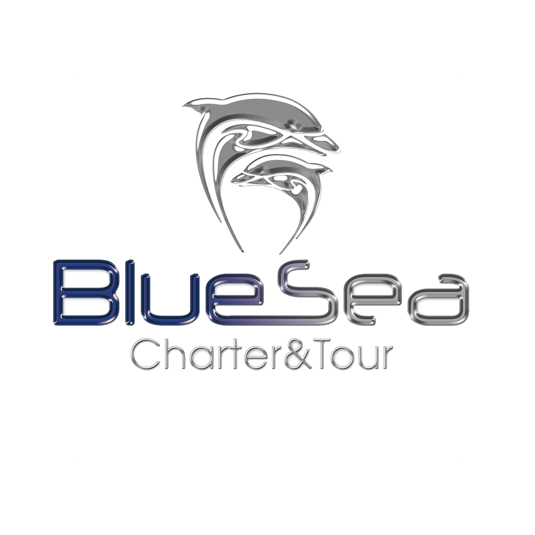 BlueSea Charter & Tour Olbia BlueSea Charter & Tour Olbia