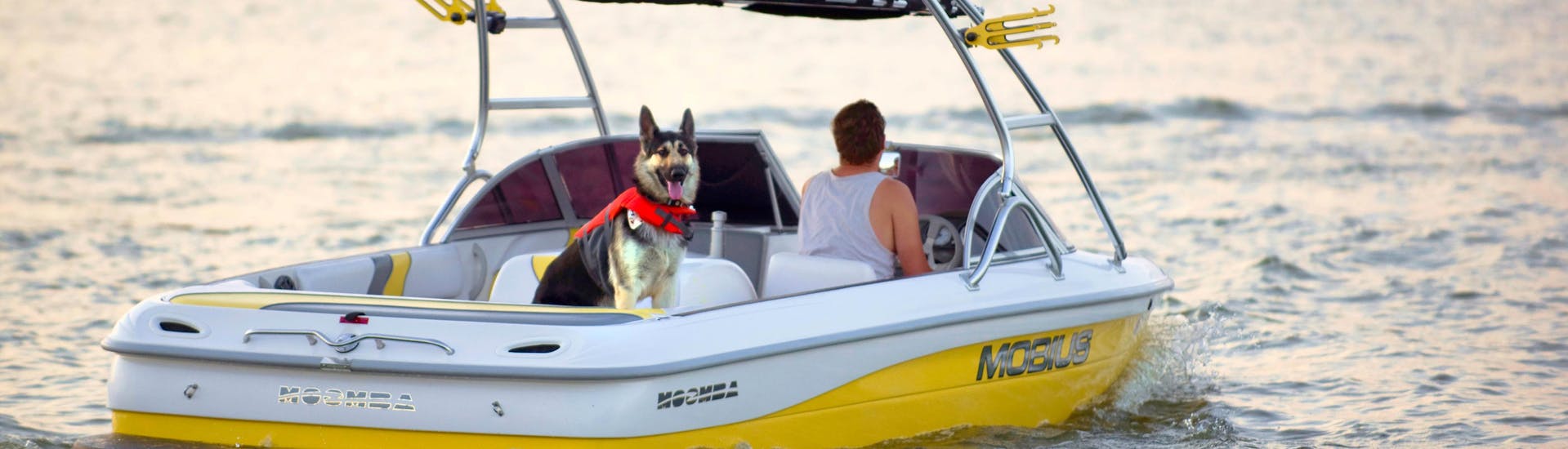 Ein Mensch, der sich mit seinem Hund bei einem Bootsverleih mit Hunden und Haustieren vergnügt.