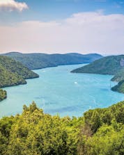 Blick auf die grüne Landschaft des Limski-Kanals, einem beliebten Ziel für Bootstouren in Istrien.