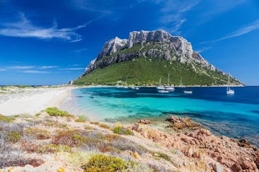 Vue de l'île de Tavolara, destination populaire pour les balades en bateau depuis Olbia en Sardaigne.