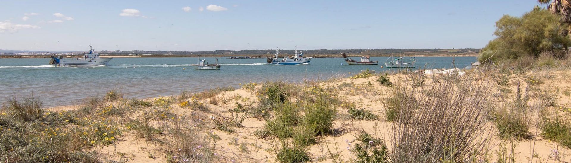 Bateaux de pêche devant la plage d'Isla Cristina, un endroit magnifique que vous pouvez découvrir lors d'une excursion en bateau.