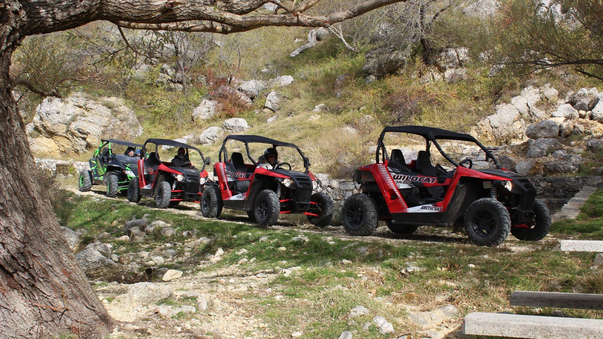 buggy buggy tours