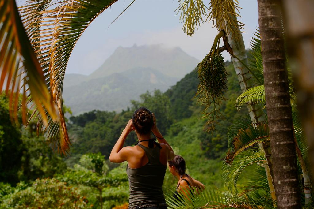 Zwei Frauen erkunden den tropischen Wald in Guadeloupe mit Safari Caraib.