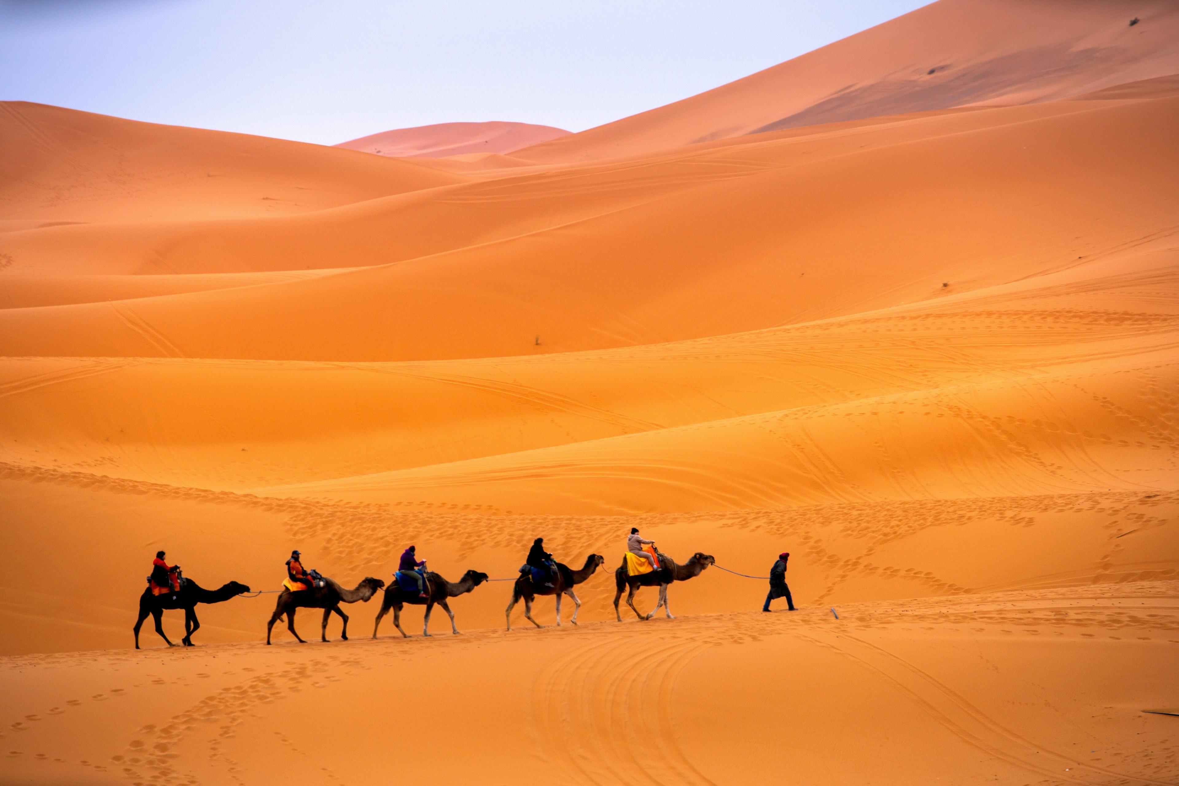 Camel Riding Marrakech: 3 Offers with the Best Prices 2024/2025 - CheckYeti