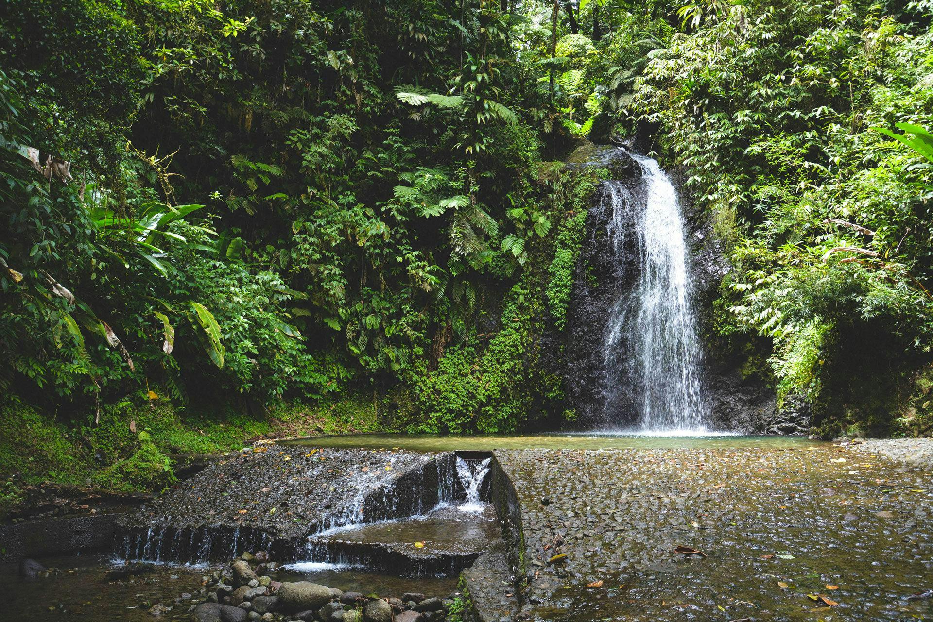 Beautiful landscapes showcasing mountains and sea, where the experiences of Exotic Tours Martinique are taking place.
