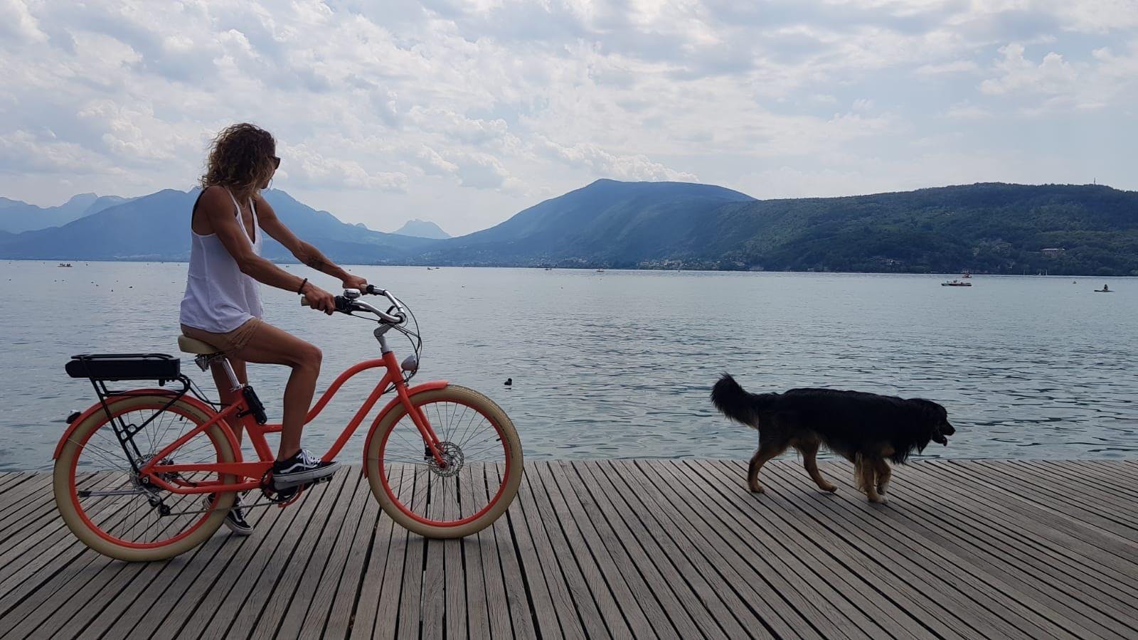 Cayoti Bike Rental Orange bike riding along the water with a black dog running in front by Cayoti.
