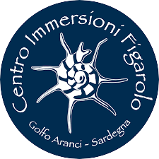 Centro Immersioni Figarolo Golfo Aranci Centro Immersioni Figarolo Golfo Aranci