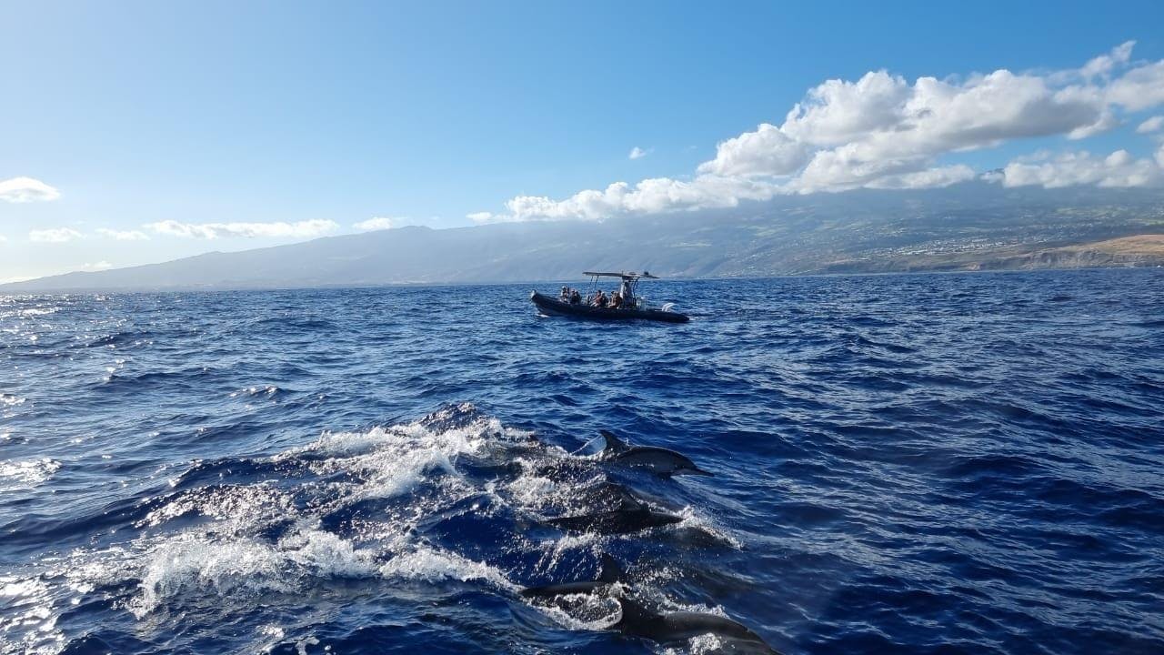 CetaSea Reunion Beeindruckende Landschaften mit Bergen und Meer, wo Aktivitäten von CetaSea Reunion stattfinden.