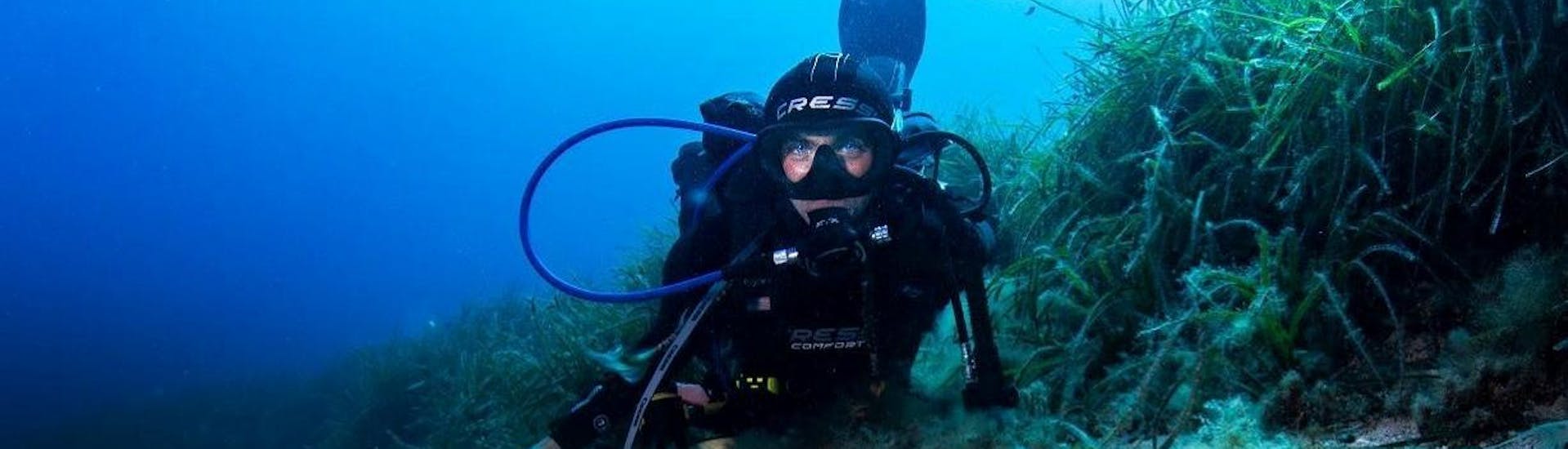 A diver posing for the camera while scuba diving in Cala Bona during a course given by Albatros Diving Mallorca.