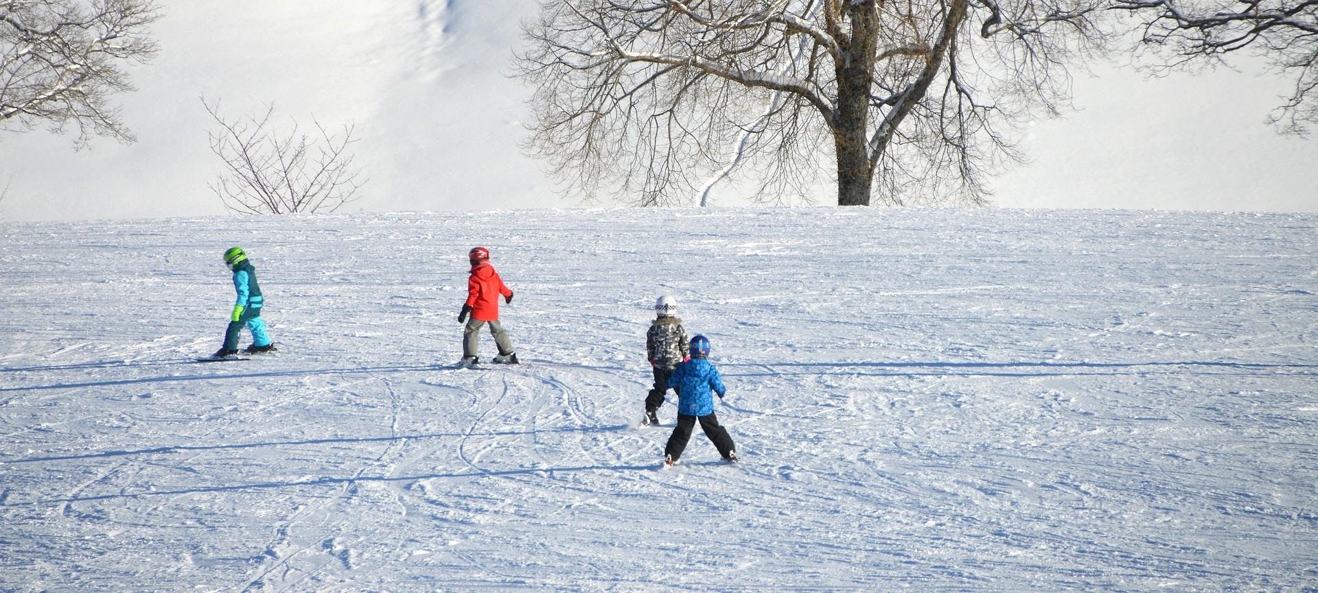 École de ski Rossi Kranjska Gora Magnifique paysage de montagnes et de mer, où se déroulent les activités de École de ski Rossi Kranjska Gora.
