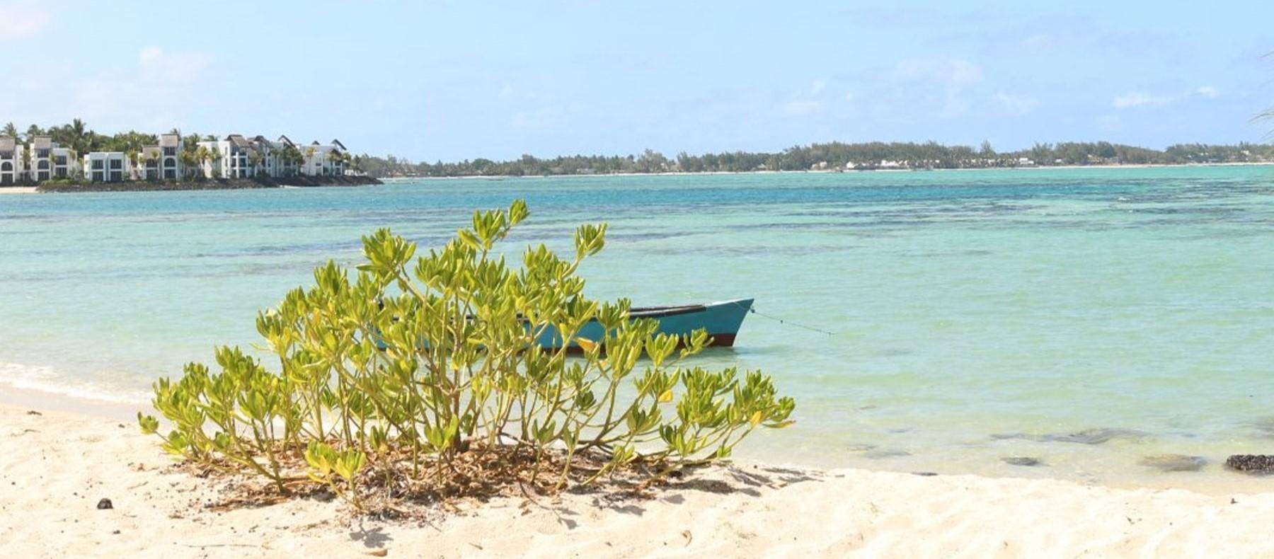 Clubbing Tours Flic en Flac Mauritius Panorama mozzafiato con montagne e mare, dove hanno luogo le attività di Clubbing Tours Flic en Flac Mauritius.