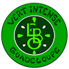 Logo Vert Intense Guadeloupe
