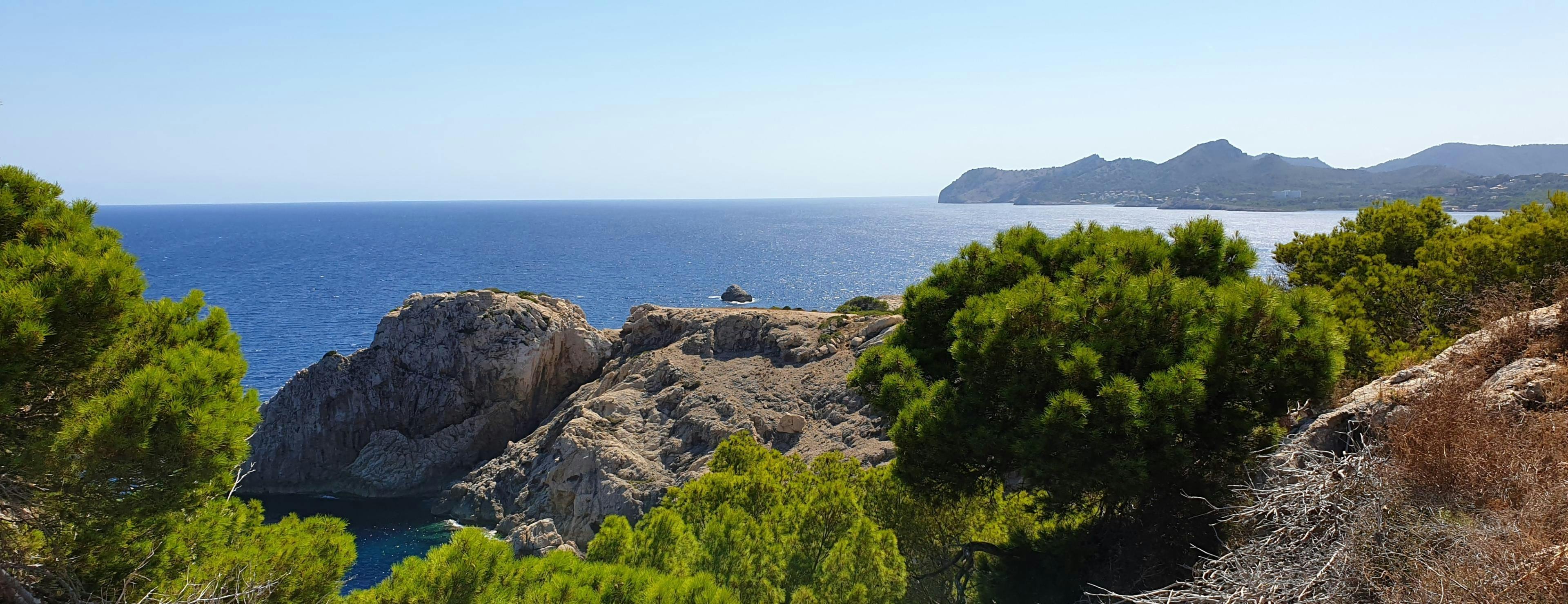 Coral Boat Cala Ratjada null-null-hero