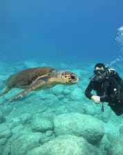 Ein Taucher entdeckt unter Wasser eine Schildkröte während eines Tauchgangs mit Diver's Paradise Zakynthos.