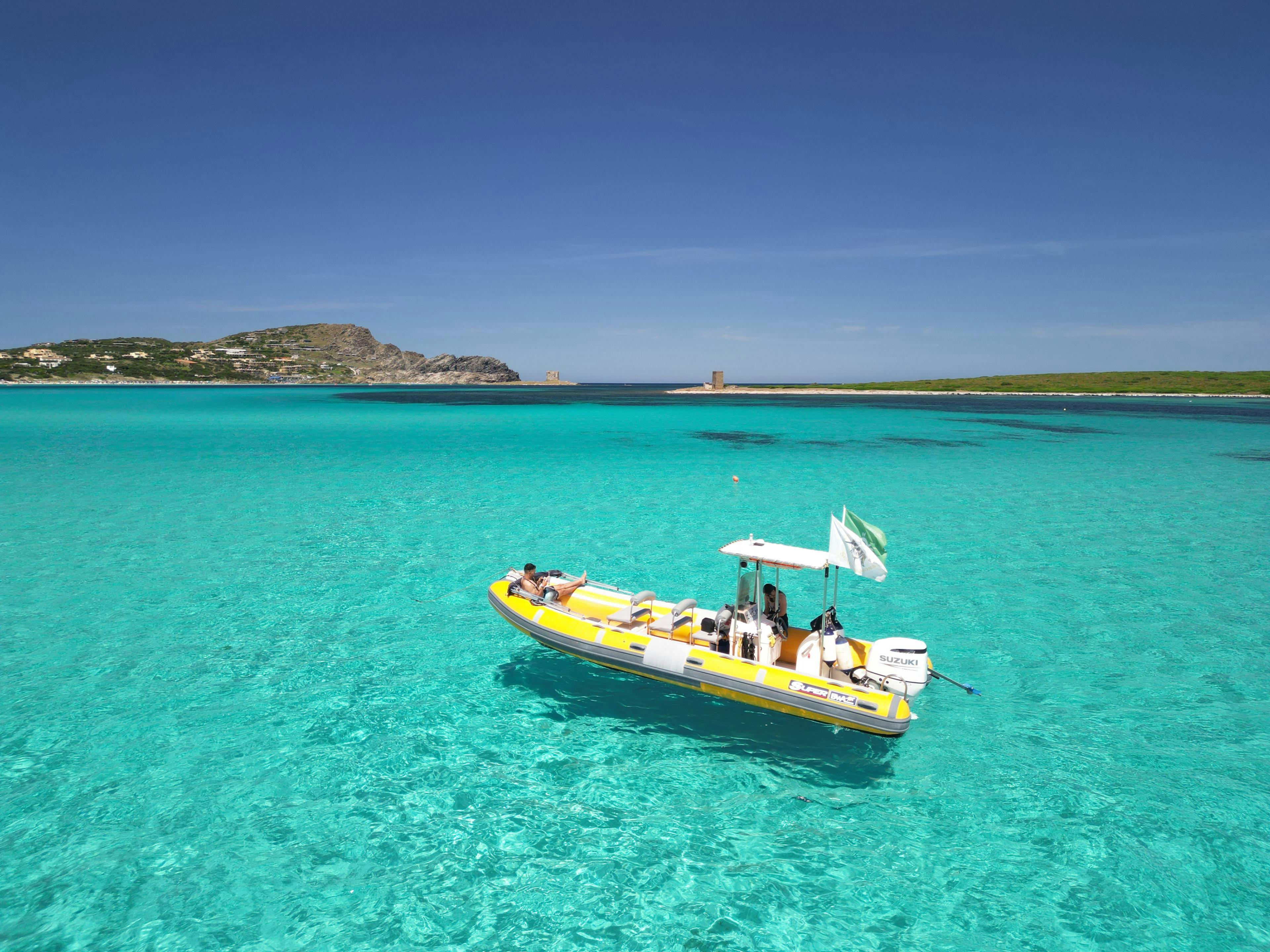 DJI_0906 Prachtige landschappen met bergen en zee, waar de ervaringen van North West Sea Excursions Asinara plaatsvinden.