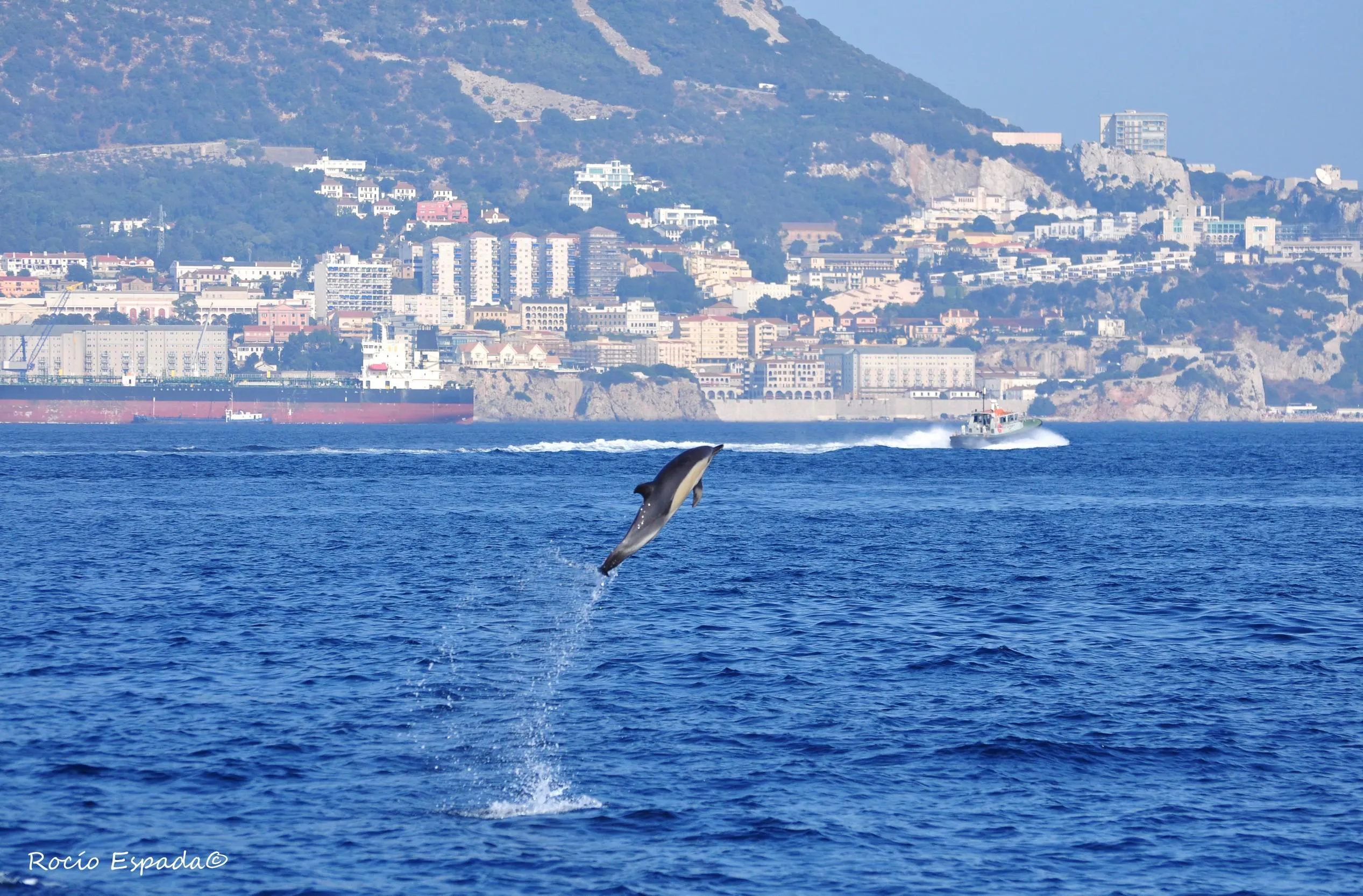 Beeindruckende Landschaften mit Bergen und Meer, wo Aktivitäten von Dolphin Adventure Gibraltar stattfinden.