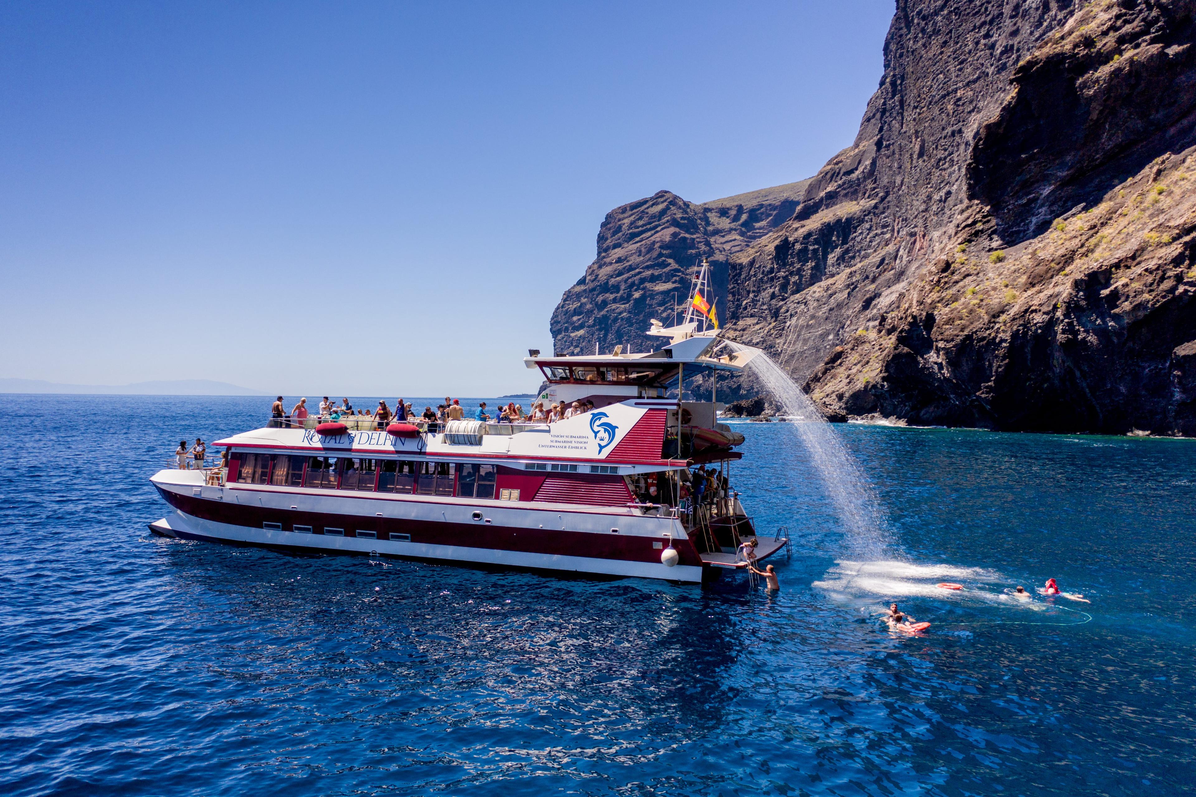 dolphin boat trips tenerife