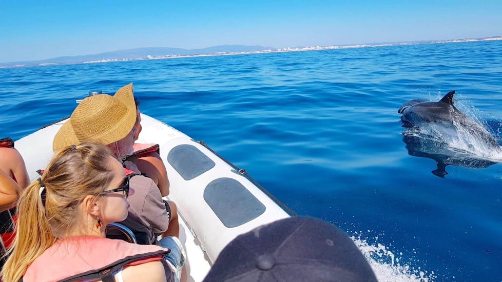 Dolphin watching from a speedboat with Days of Adventure Algarve.
