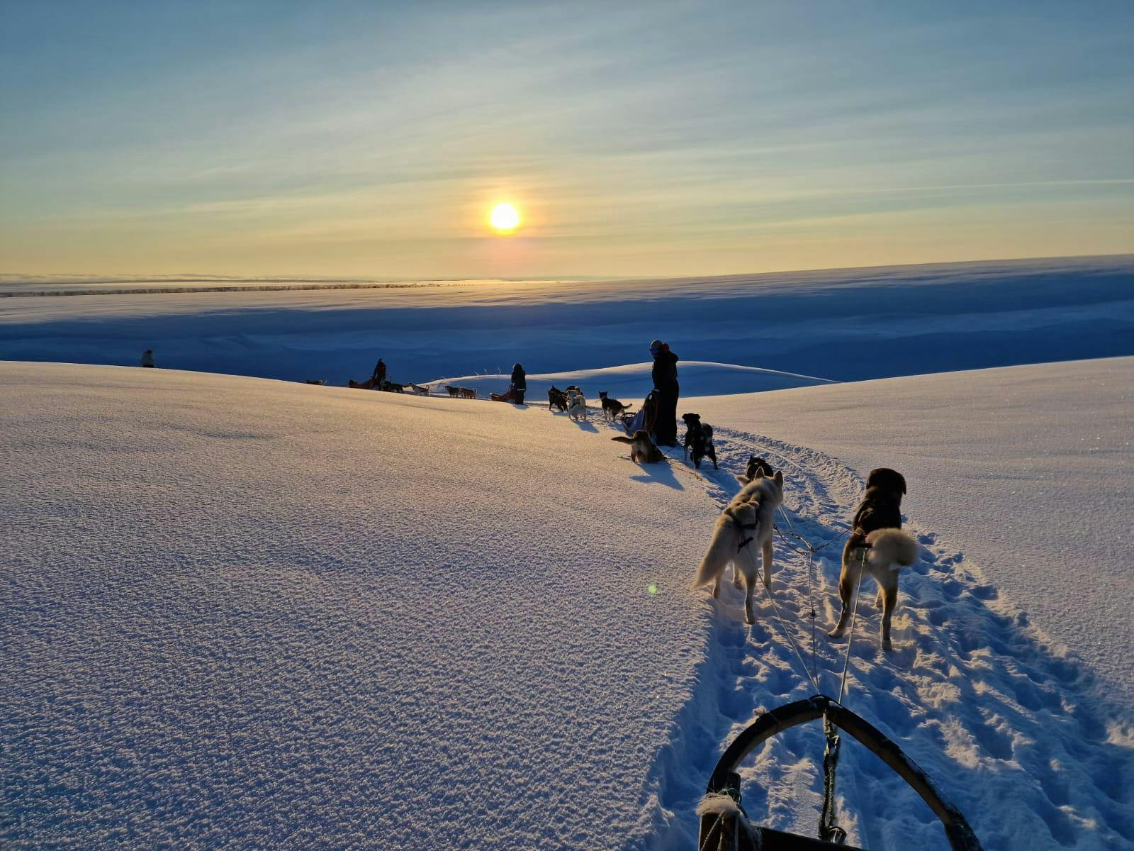 Beautiful landscapes showcasing mountains and sea, where the experiences of Nanouak Dogsledding Norway are taking place.